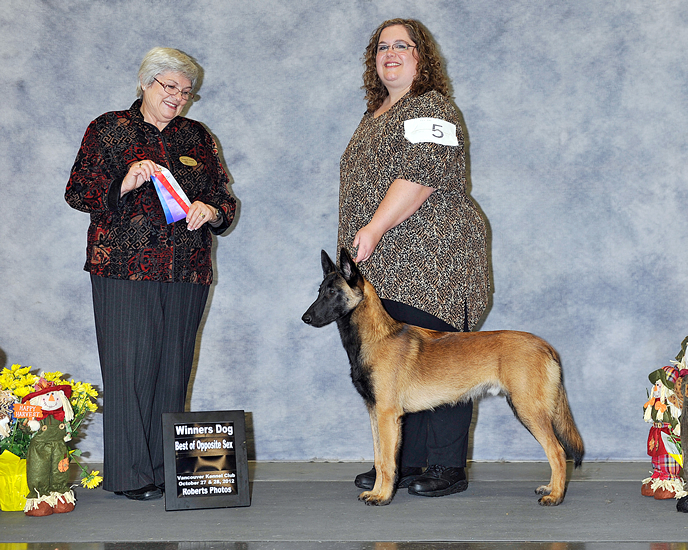 Vancouver Kennel Club - October 2012