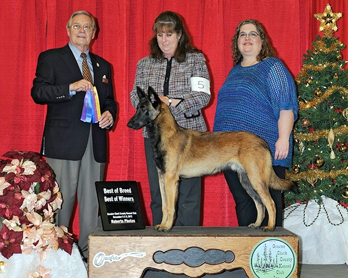 Greater Clark County Kennel Club - December 2012