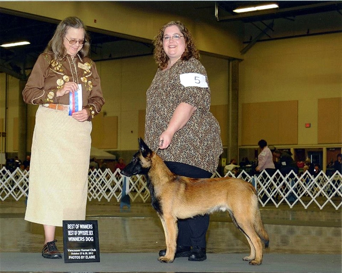 Vancouver Kennel Club - October 2012