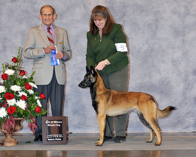 Rose City Classic Tualatin Kennel Club - January 2013