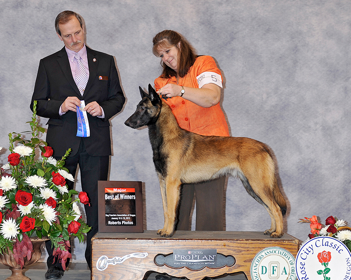 Rose City Classic Dog Fanciers Assn. of Oregon - January 2013