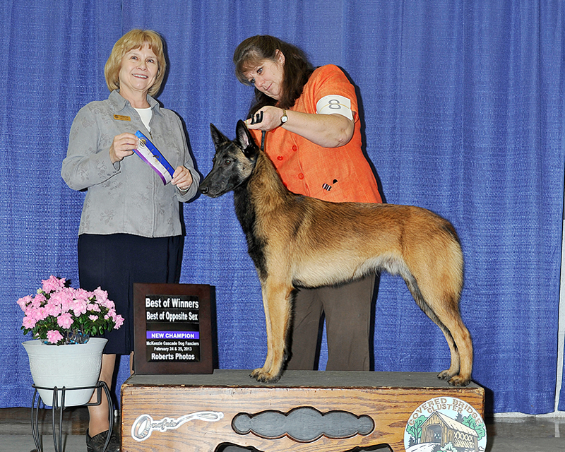 McKenzie Cascade Dog Fanciers - February 2013