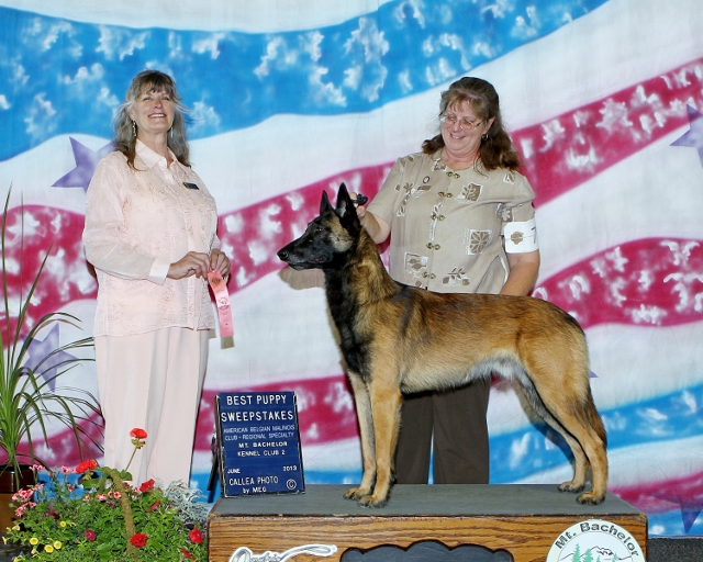 Mt. Bachelor Kennel Club - June 2013