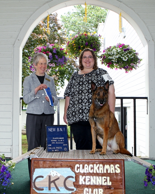 Beginning Obedience Title