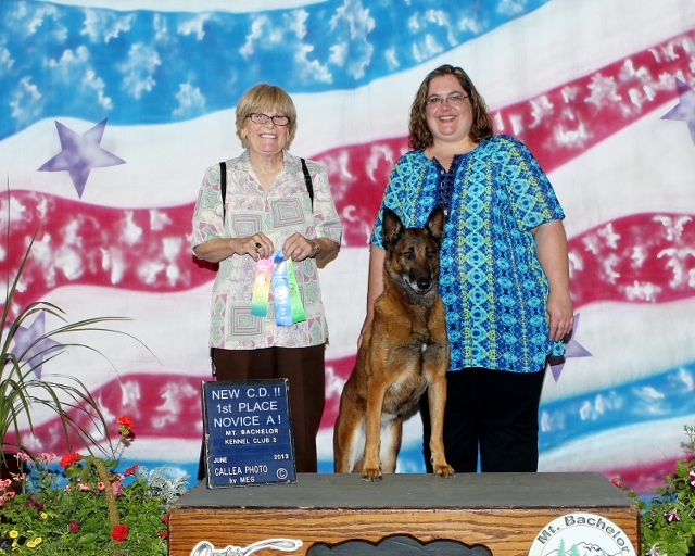 Obedience Novice Title