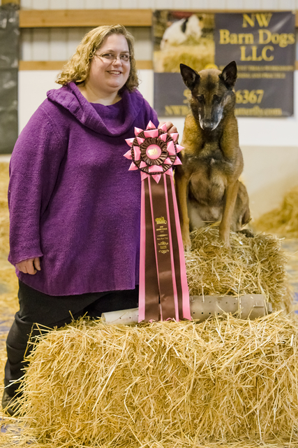 Barn Hunt Master Title